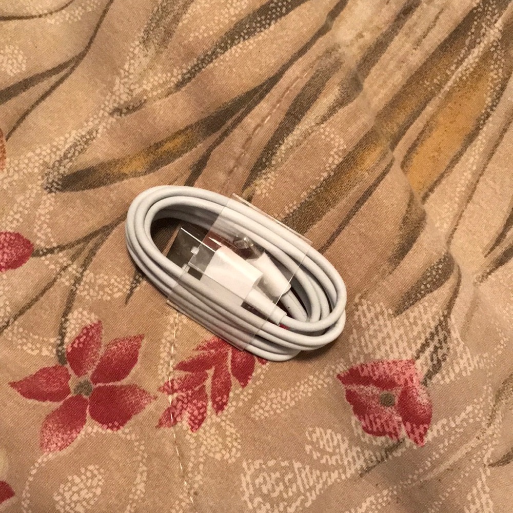 iPhone charger